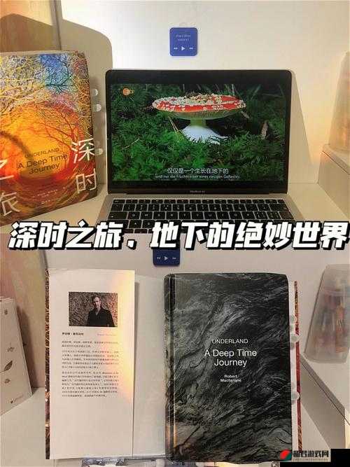 爬床 py 生锈发条作者的别样创作之旅