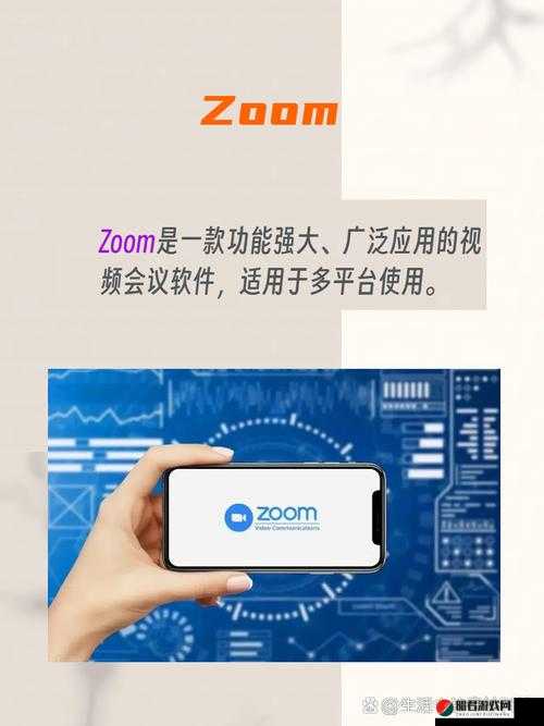 ZOOM 与 ZOOMHD 性能比较：谁更胜一筹及差异解析