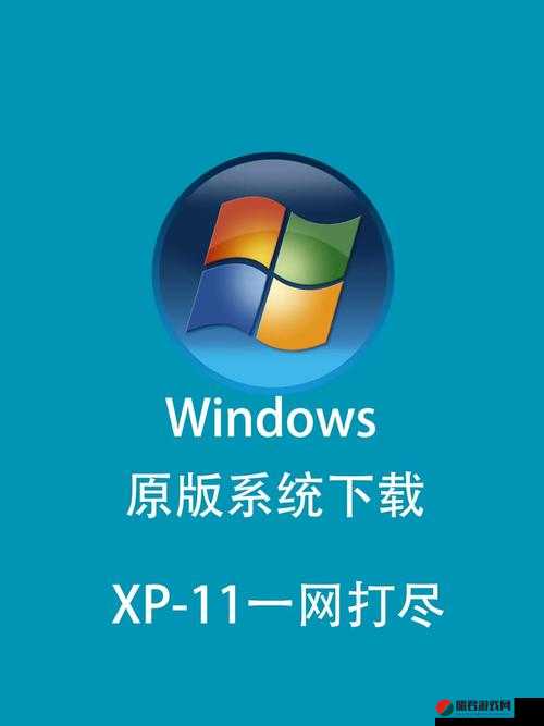 中国高清 Windows 视频软件门槛降低助力行业发展