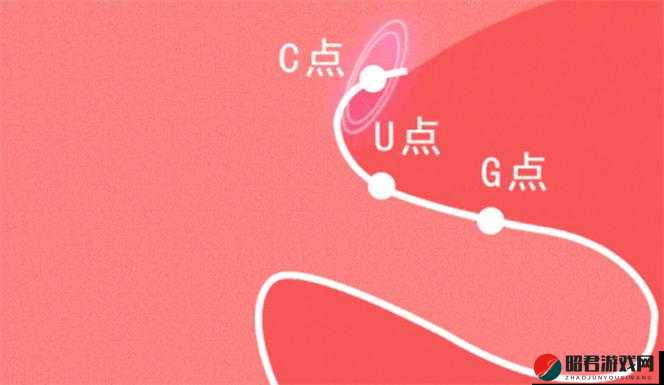 学生自 W 到高 C 的 25 种方法全解与提升技巧