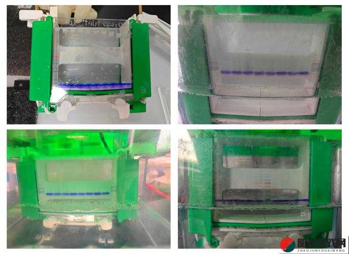 人马胶配方视频高清版详细解析及制作教程