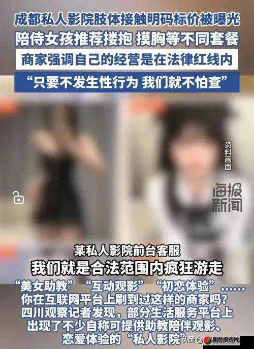 射黄视频：挑战道德与法律的底线