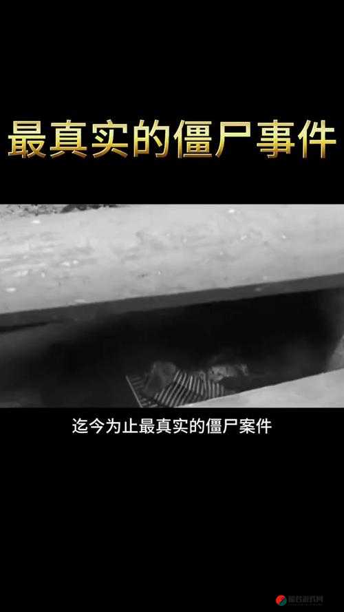 506 寝室的灯灭了以后第 9 部分限时免费开放：神秘事件背后的真相