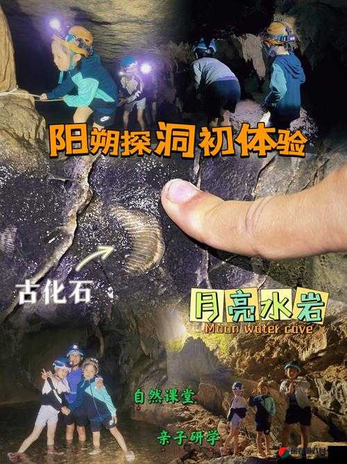 关于舌头探洞水好多的应对策略详细阐述与分析