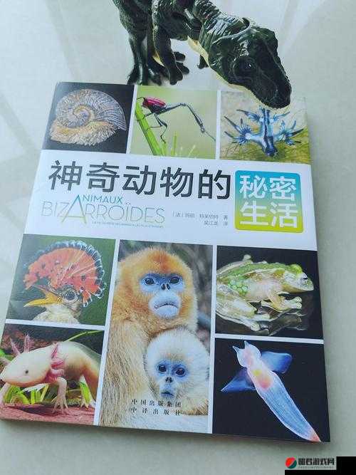 ZoomZookeeper 动物：探索奇妙动物世界的精彩之旅