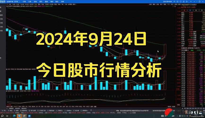 免费看行情的网站：提供精准行情资讯的优质平台