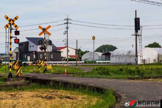 XXXX 日本：探索其独特文化与社会现象的深度之旅