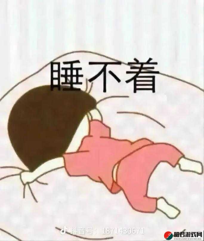 睡不着时探索看 B 站十大软件之趣