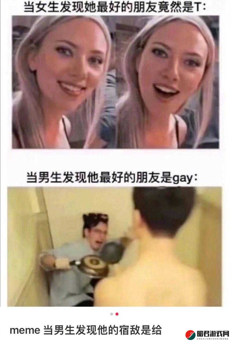 Gay鈥哫XXXGay2023：关于其的详细解读与深入分析