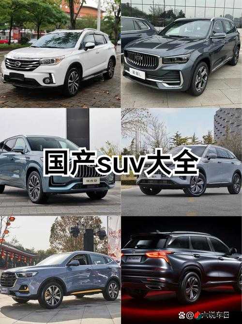 最新国产高颜值 SUV 车型一览：市场新宠各显魅力