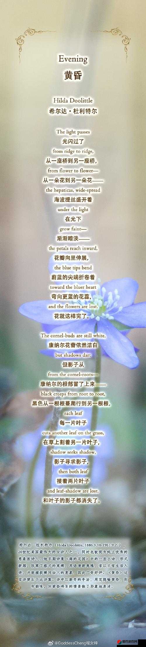 poein141516 下载：带你探索独特的诗歌世界