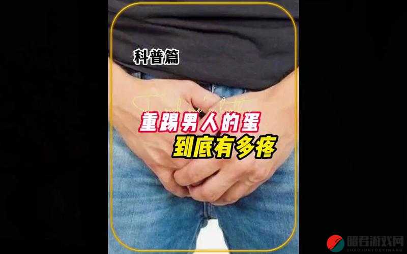 男生的蛋蛋有多痛：探究其疼痛程度的真实体验