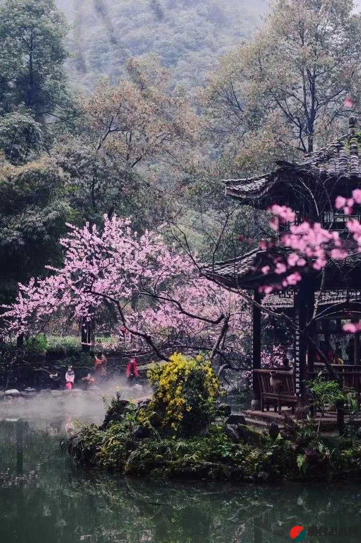 桃花源 1987.5：探寻那片神秘的梦幻之地