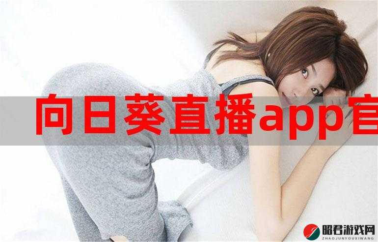 91gbapp：提供便捷高效的应用服务体验