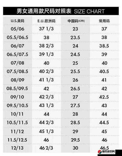 欧亚尺码专线欧洲B1B1 播放更加稳定迅速 带来更好体验