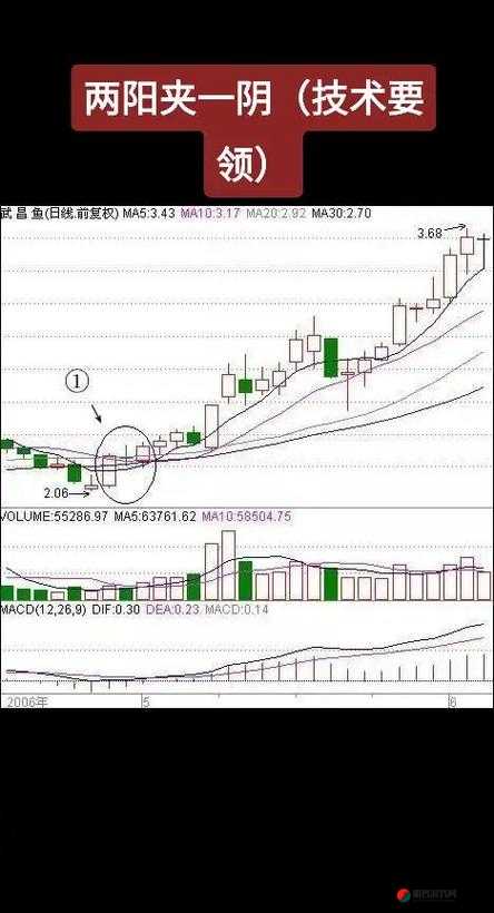 两阳夹一阴后期走势：行情后续发展趋势分析