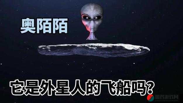 WWWXXXXX：探索未知领域的神秘之旅与全新发现