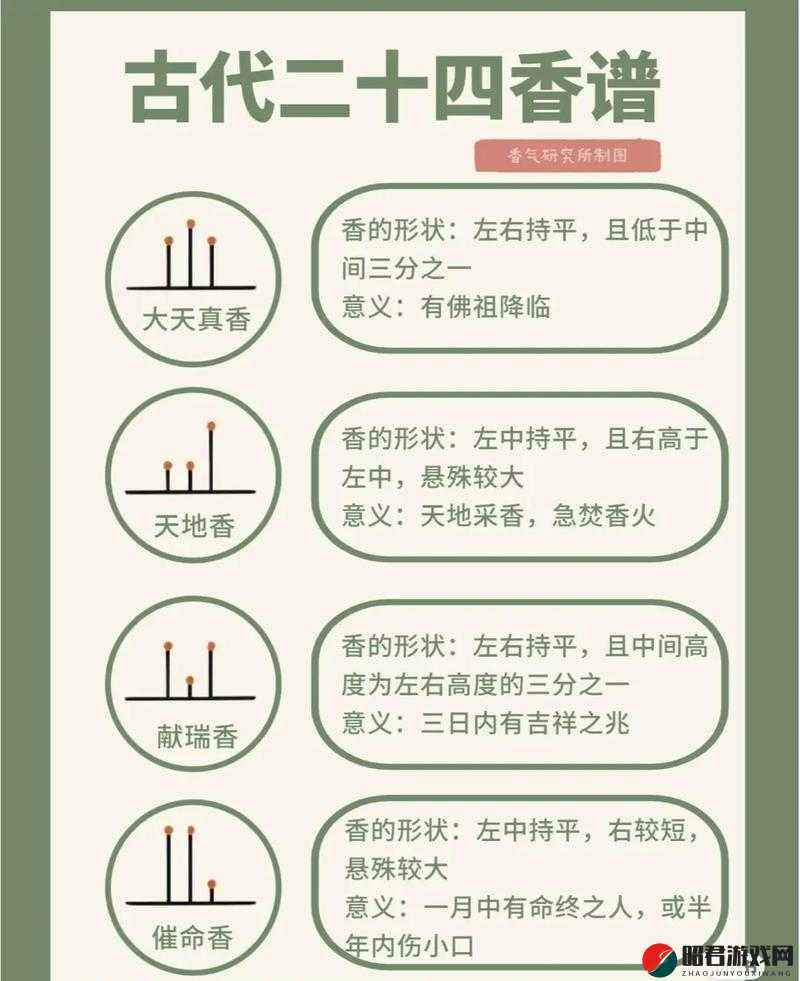 大香煮 2024 一人一煮使用方法：详细步骤与注意事项