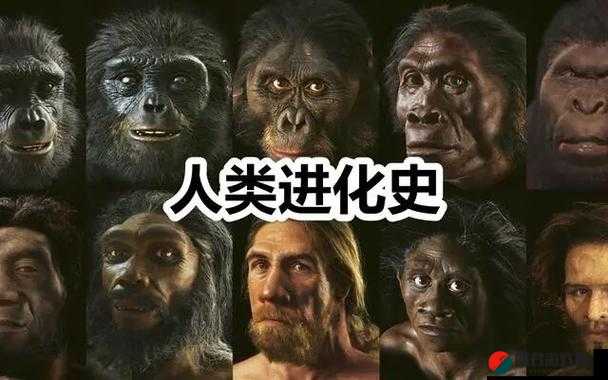 亚洲人和欧洲人谁更先进化？——人类进化研究的新视角