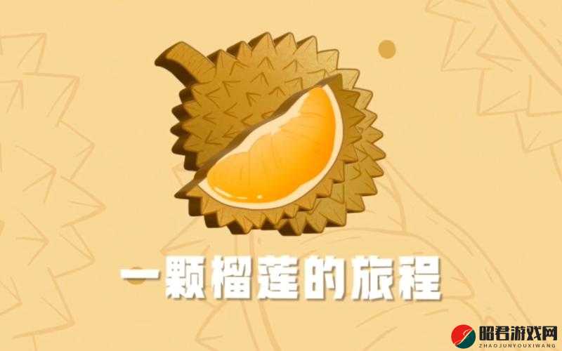 榴莲微视 APP 网站下载：开启精彩视觉之旅的必备选择