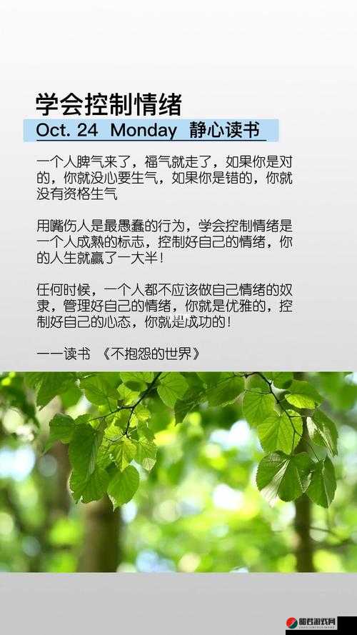 朋友换娶妻后的生活变化从日常相处到心态情绪的全方位解析