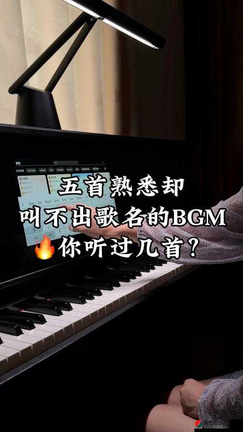 成熟交 BGMBGMBGM 日本 1：一场跨越文化的情感之旅