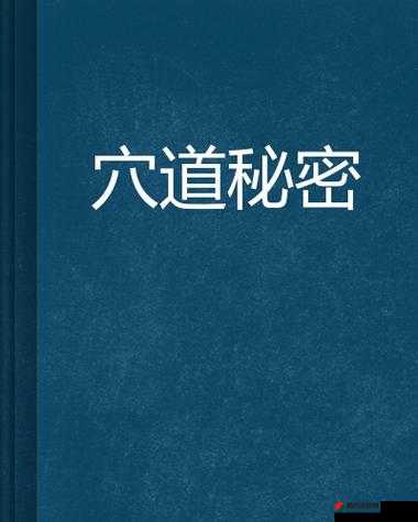 美穴淫娃：揭示性爱奥秘的私密指南