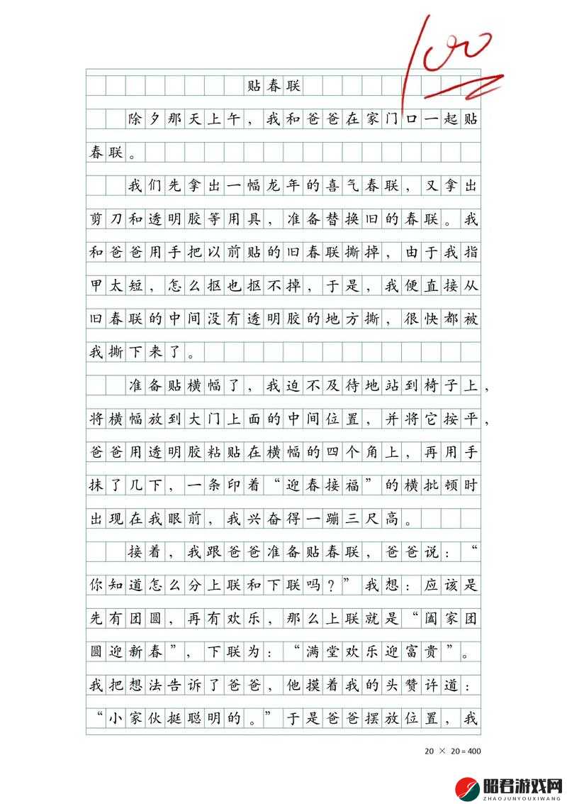 绳子固定后戴上口球作文 500 字：一种别样的体验