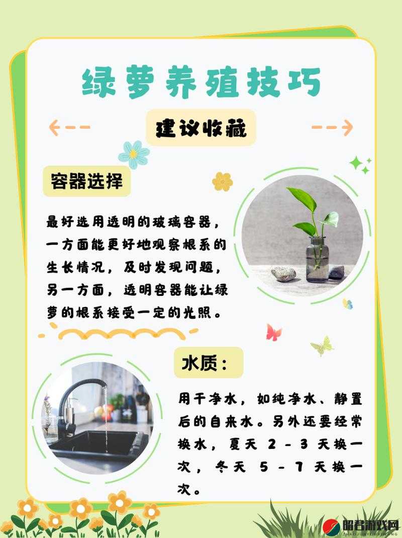 扣水的正确方法：掌握关键步骤让植物茁壮成长