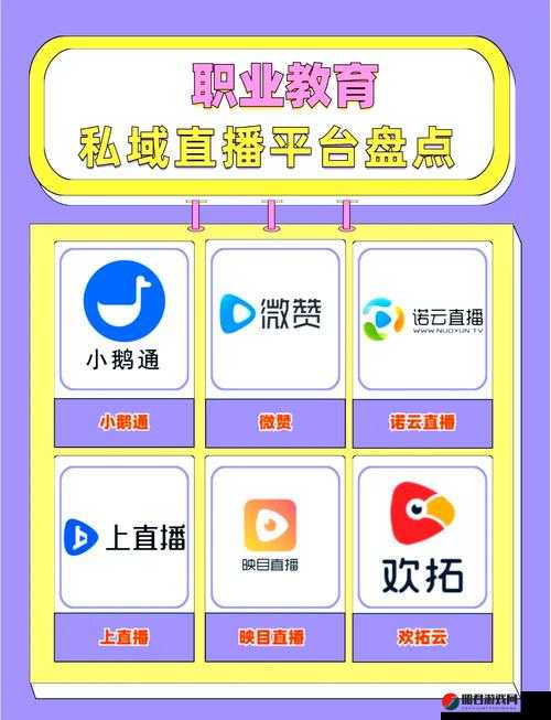探讨私域直播平台选择：哪个平台更适合你的业务需求？