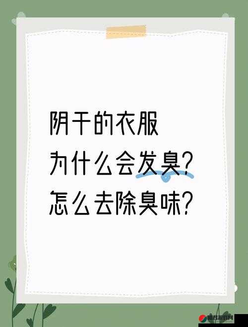 小扫货水喷的臭味很大：探究其异味来源及影响