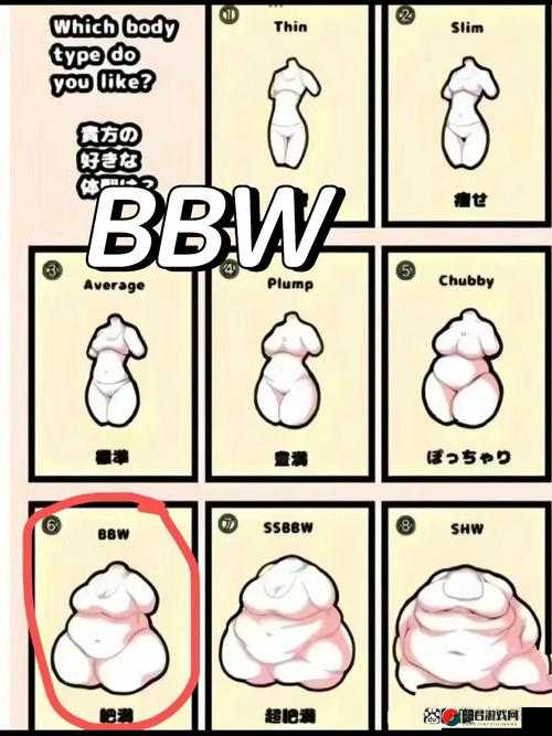 BBwBBwBBwBBw 禽：探讨其生态、行为与保护的重要性