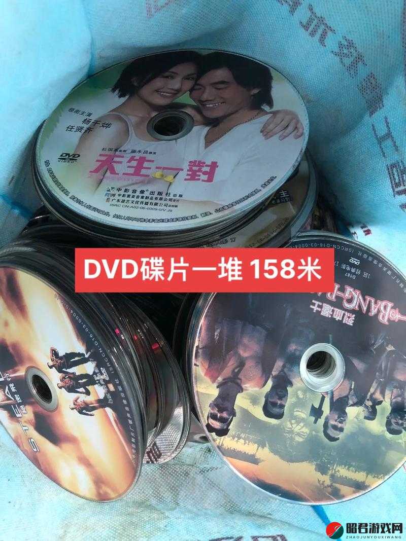 Dvd 相片电影故事：记录时光中的珍贵瞬间与永恒情感