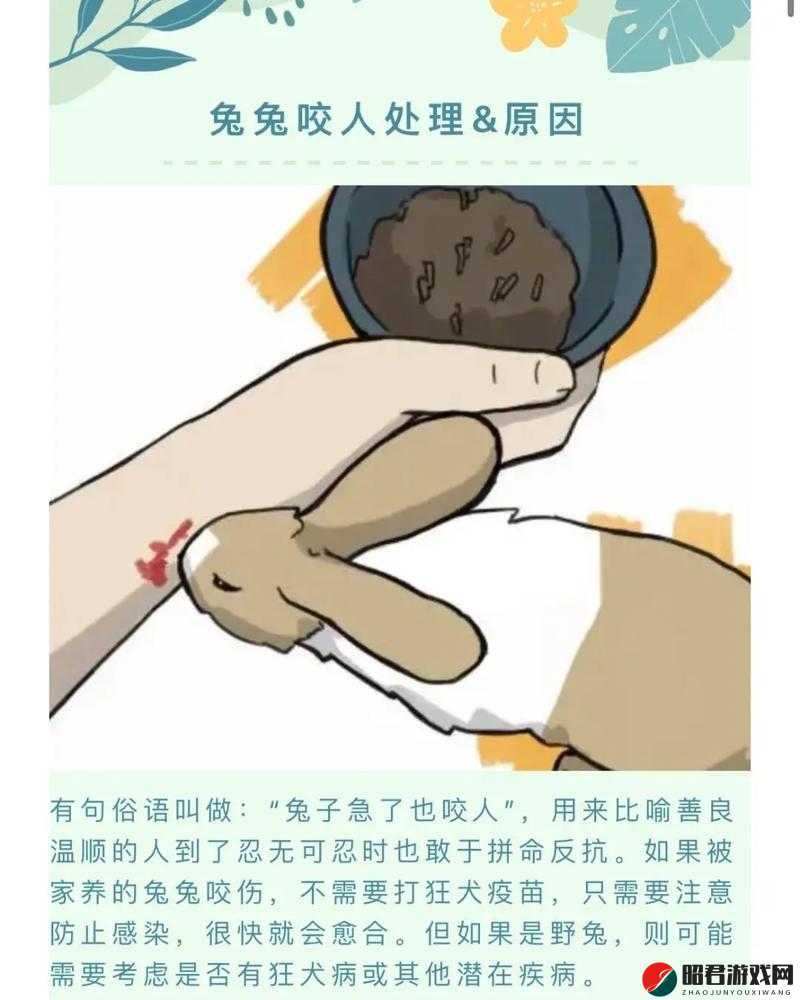 男朋友咬我的小兔子头会发炎吗：探讨这种行为的潜在风险及应对措施