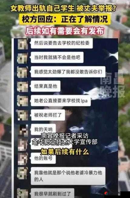 JAVAPARSER 教师 HD 惨遭攻击：事件背后的真相与影响