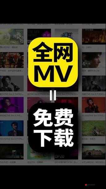 欧美MV日韩MV国产网站：海量精彩音乐视频宝库