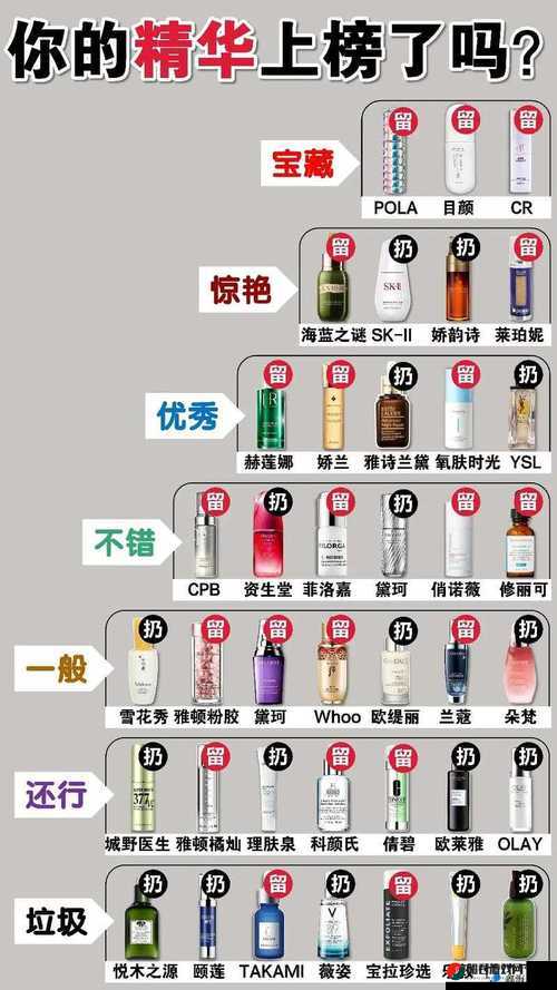 精华区二区区别之特点与差异探讨