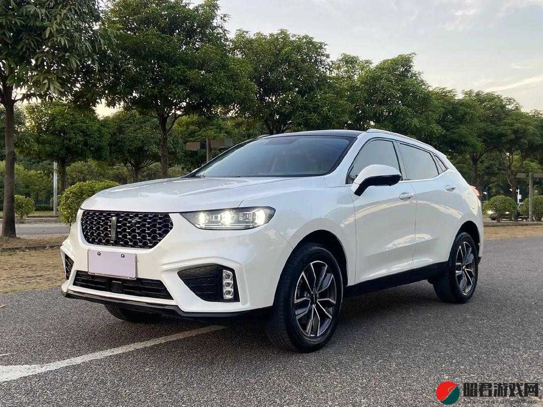 WEY VV5 国产 SUV ：畅享舒适与激情的卓越座驾