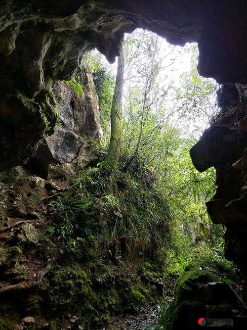 两峰夹溪之地湿且无泥 诗意之境的独特韵味阐释