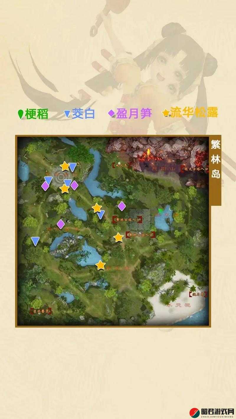 天龙八部手游深度解析，揭秘帮会建筑在游戏中的多样奇妙作用