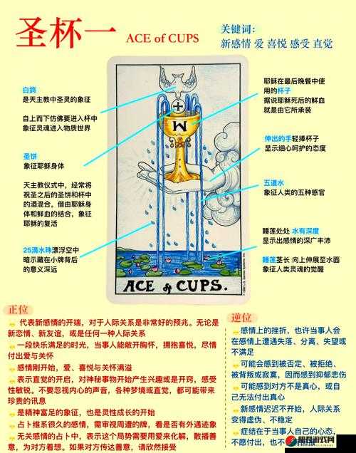 FGO圣杯获取全面攻略，解锁并激发从者潜能的关键秘籍