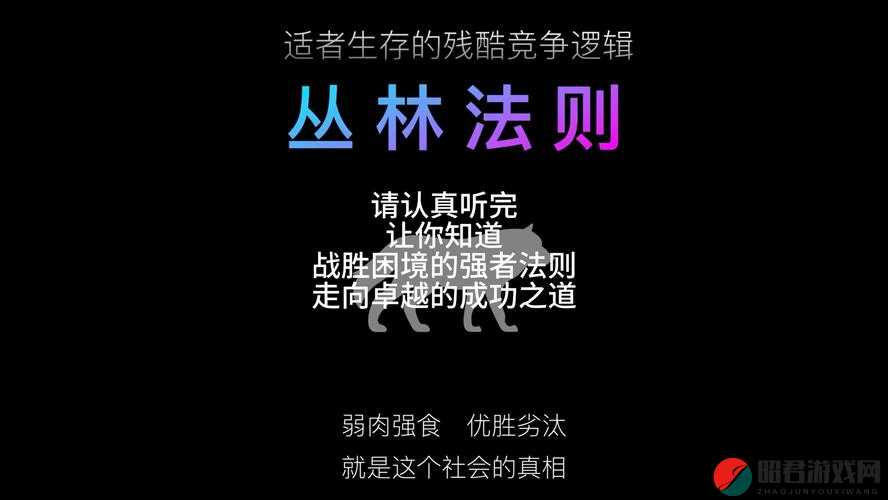 FGO角色深度解析，丛林法则技能属性全面图鉴及实战评价