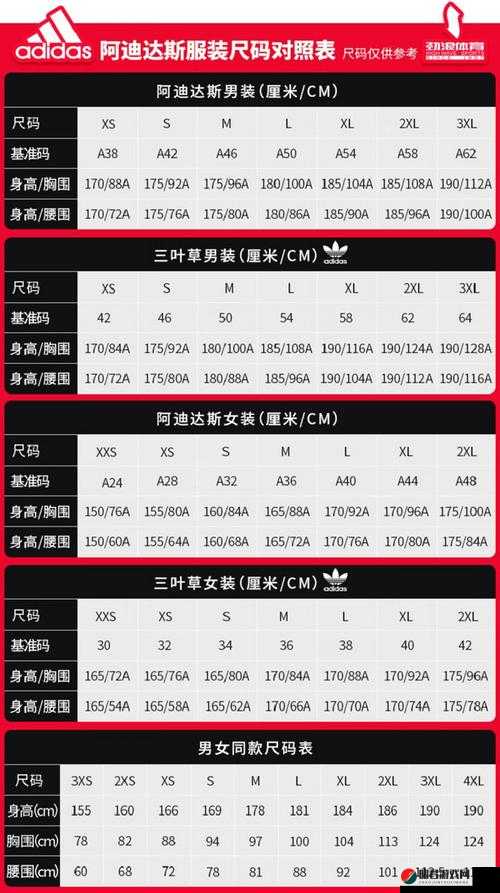 三叶草M码和亚洲码区别详解：如何选择适合你的尺码？