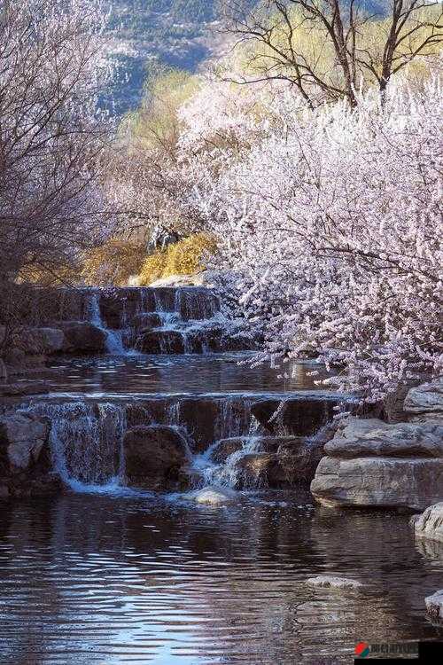 桃花洞口已是溪水潺潺如诗如画：探秘自然美景中的诗意栖居地